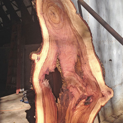 live edge wood slab
